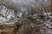 In attesa della neve al Canto Alto-10